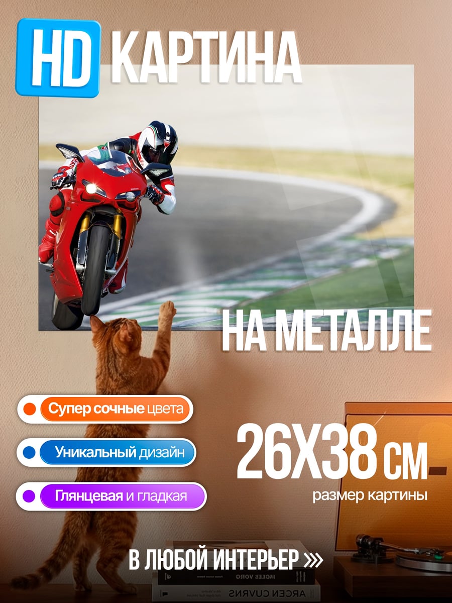 Картина на металле Гонщик на треке