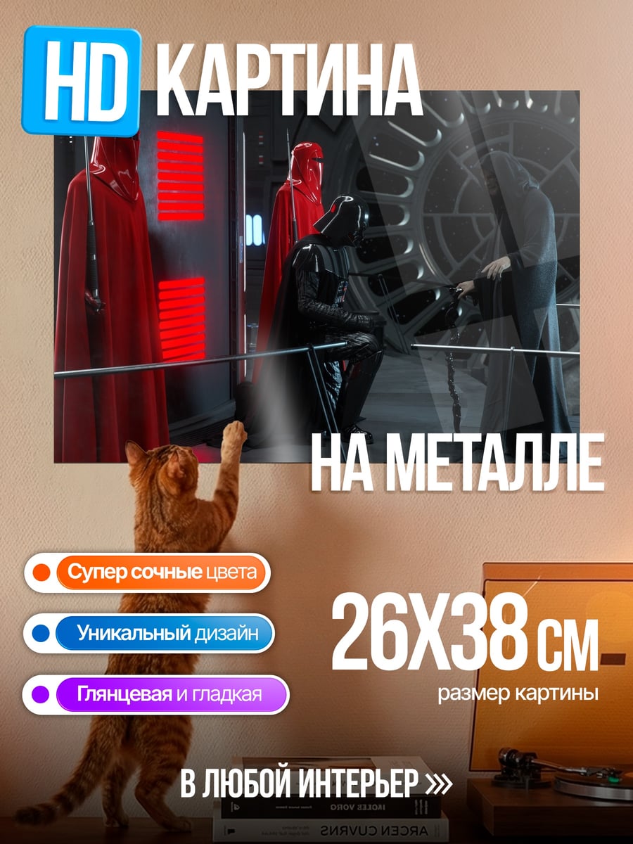 Картина на металле Дарт Вейдер стража
