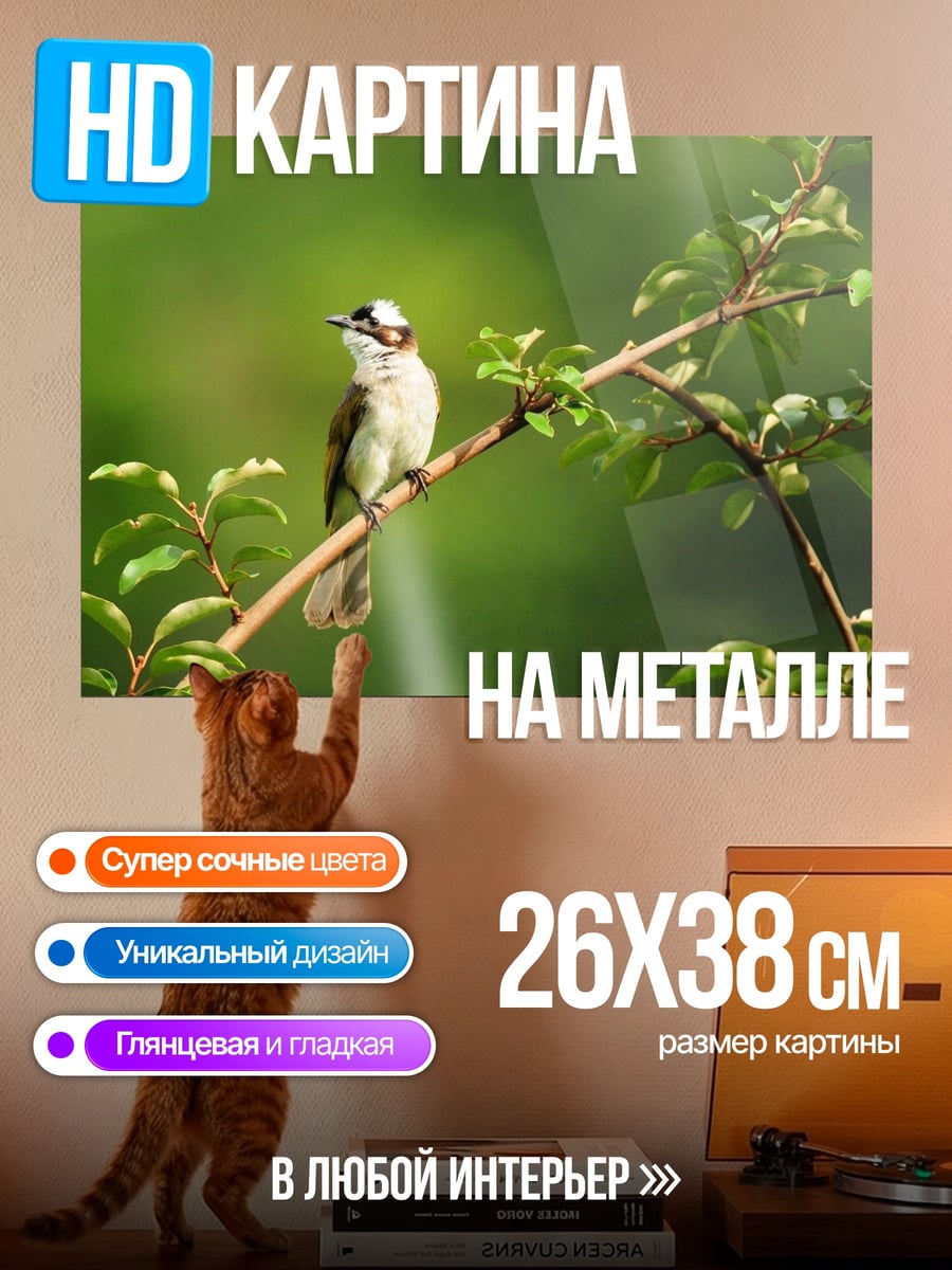 Картина на металле птица на ветке