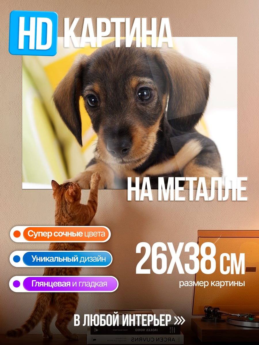 Картина на металле щенок таксы