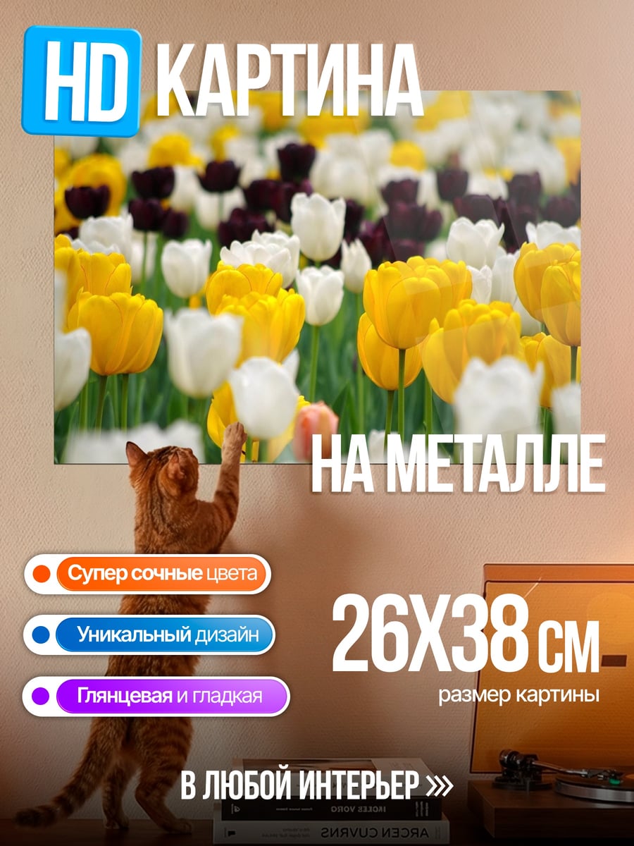 Картина на металле поле тюльпанов
