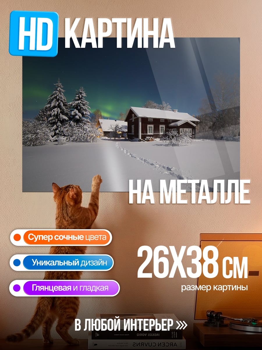 Картина на металле Зимняя ночь с северным сиянием