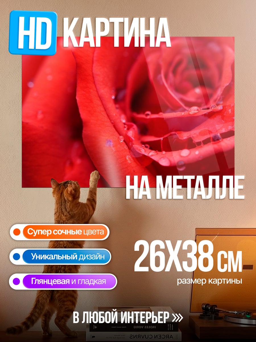 Картина на металле Красная роза с каплями
