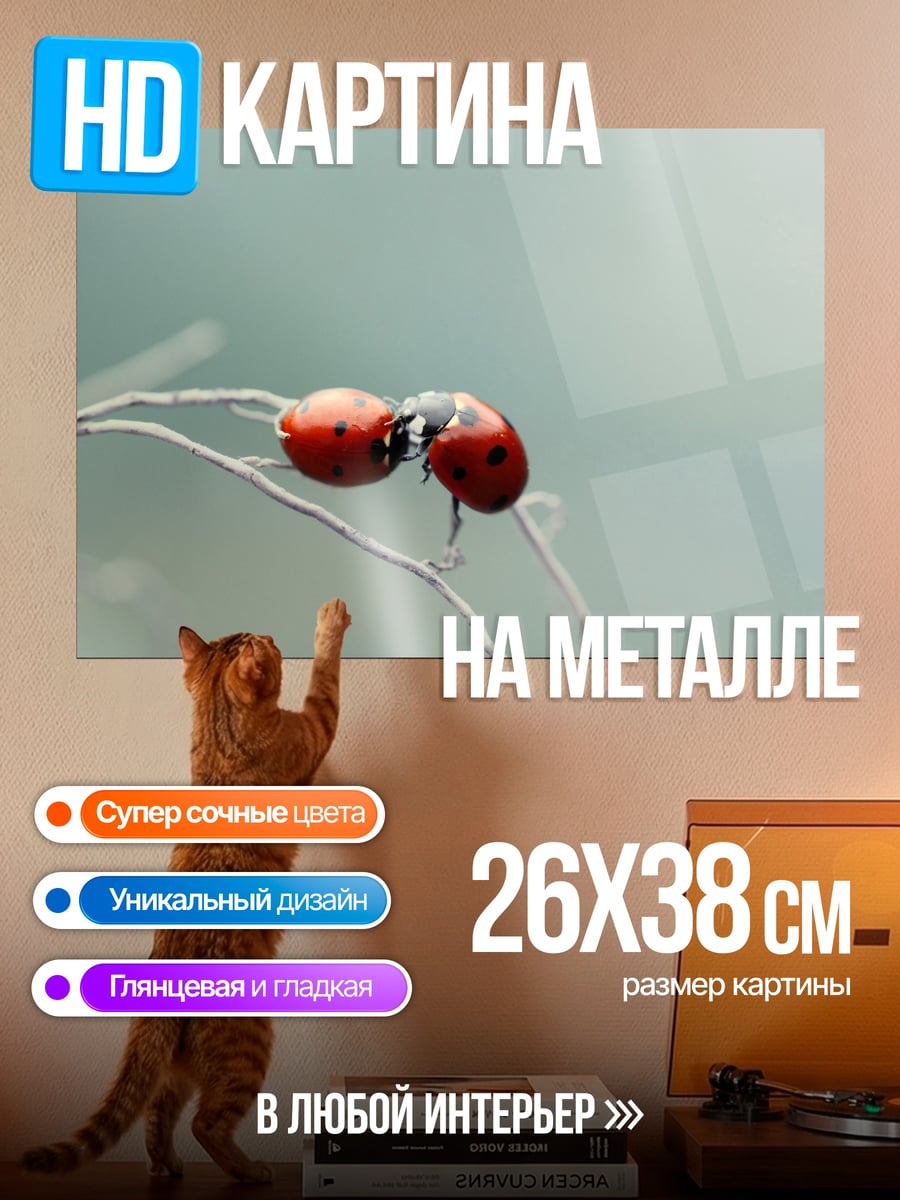 Картина на металле Две божьих коровки