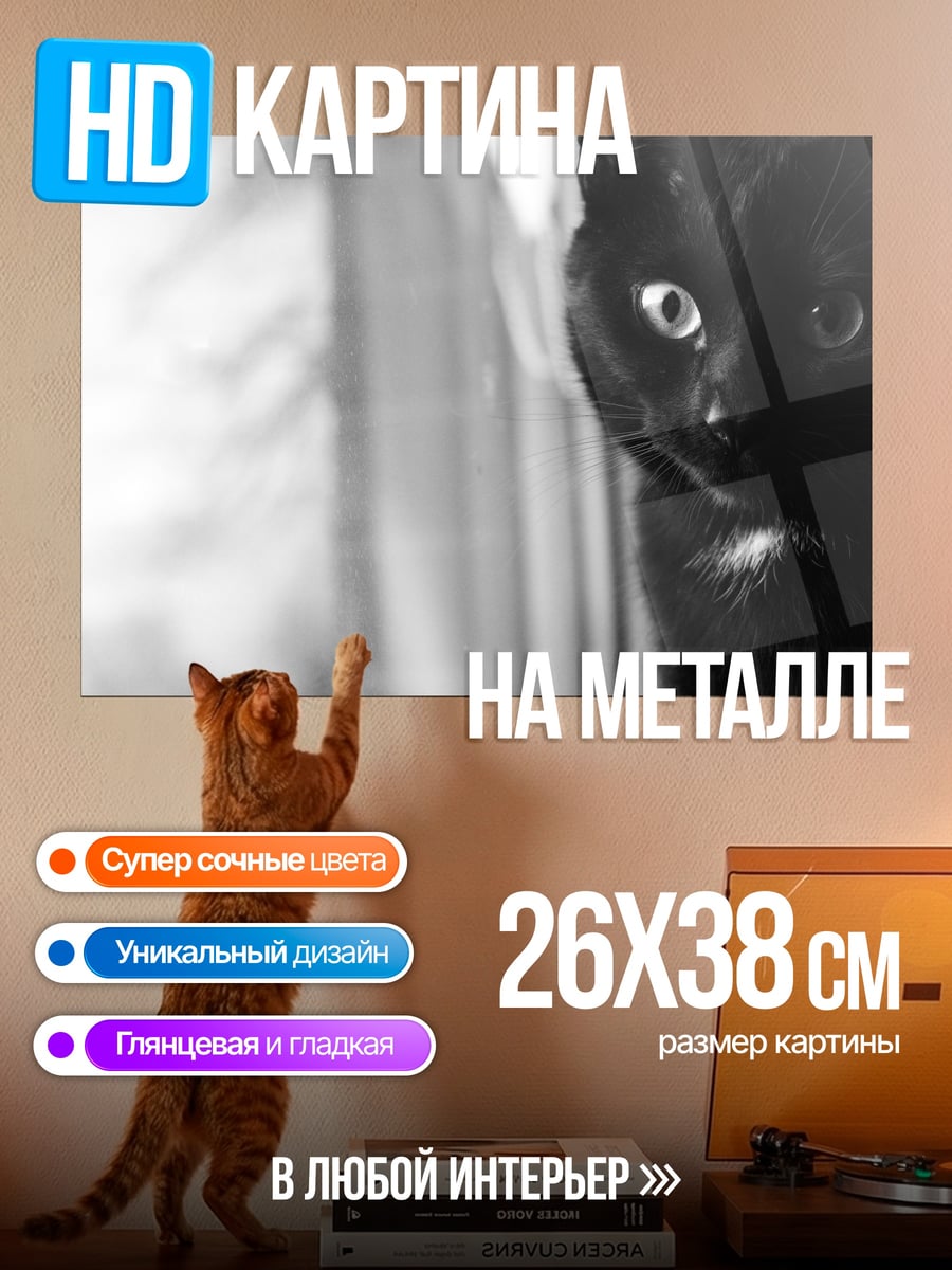 Картина на металле Черный кот