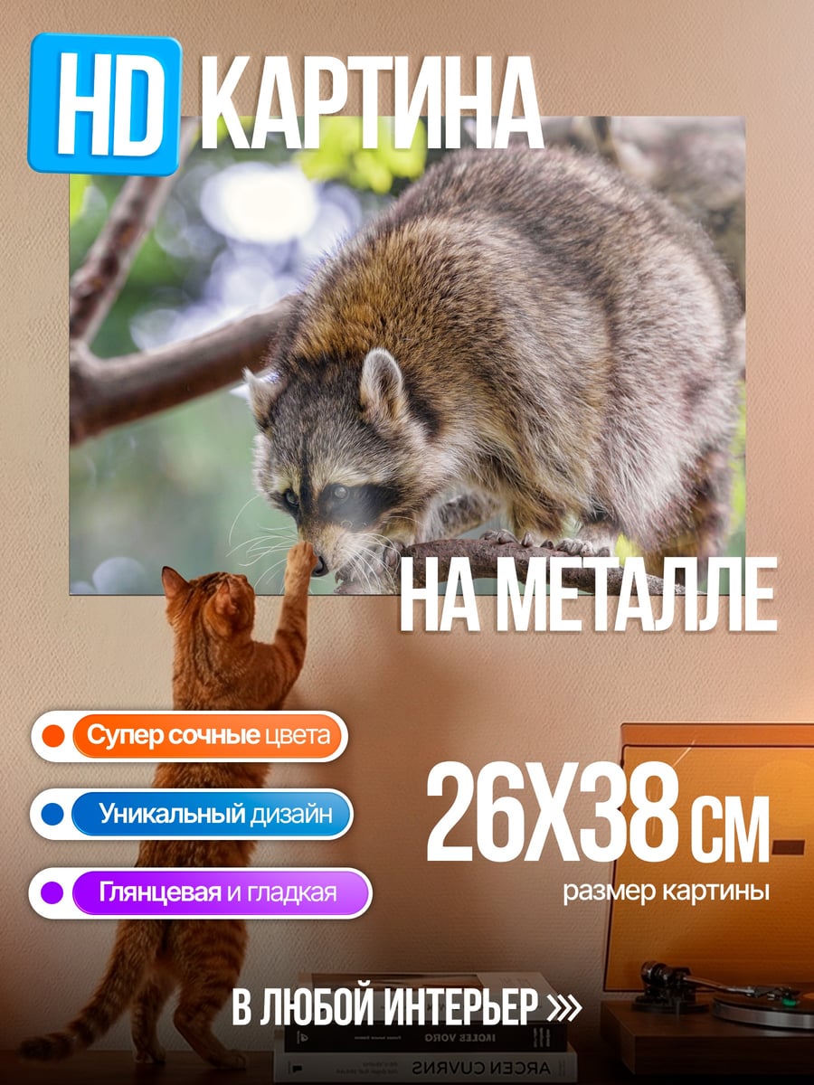Картина на металле Енот на ветке дерева