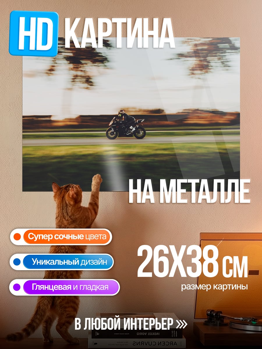 Картина на металле скорость на дороге