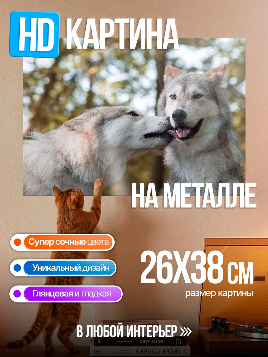 Картина на металле Два волка целуются