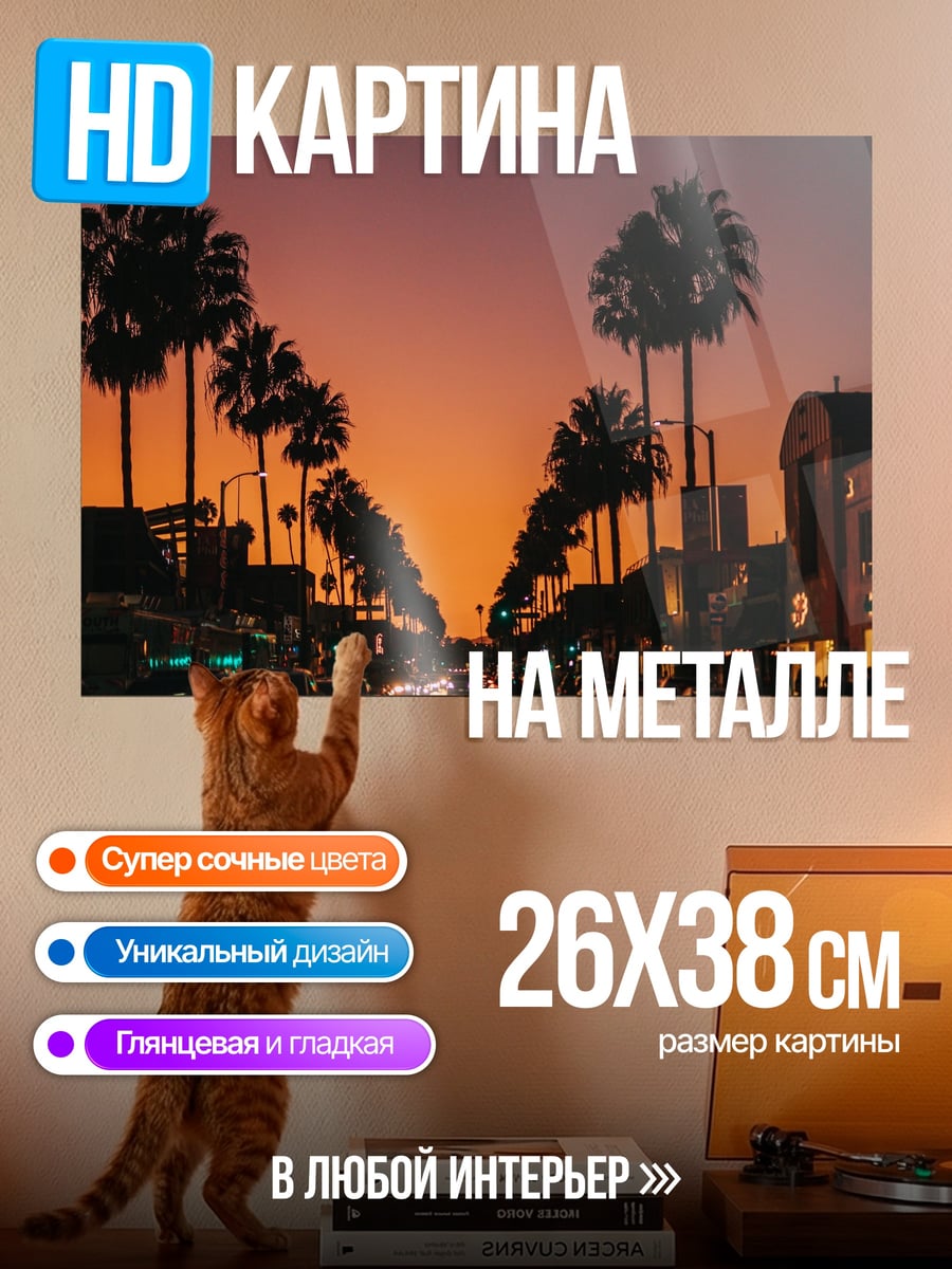 Картина на металле Закат Лос-Анджелеса
