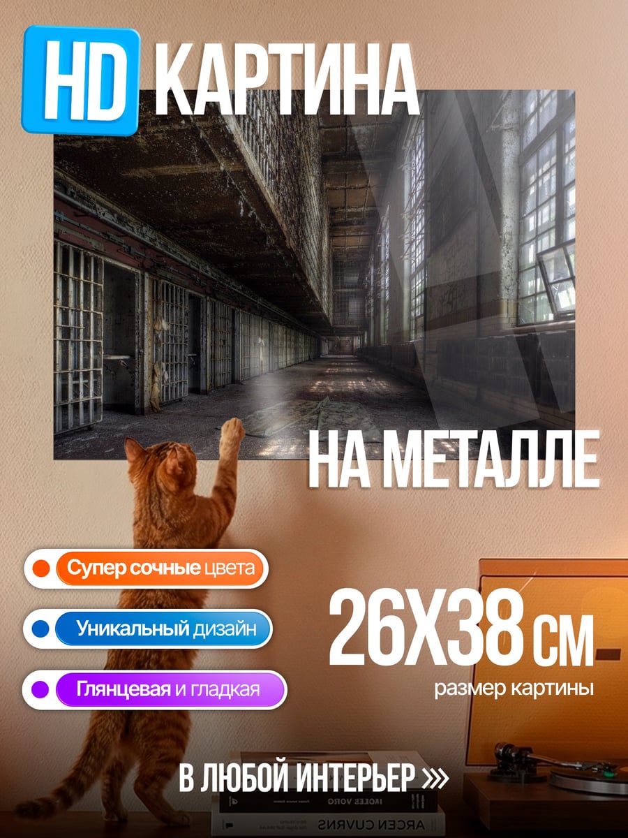 Картина на металле Заброшенный коридор