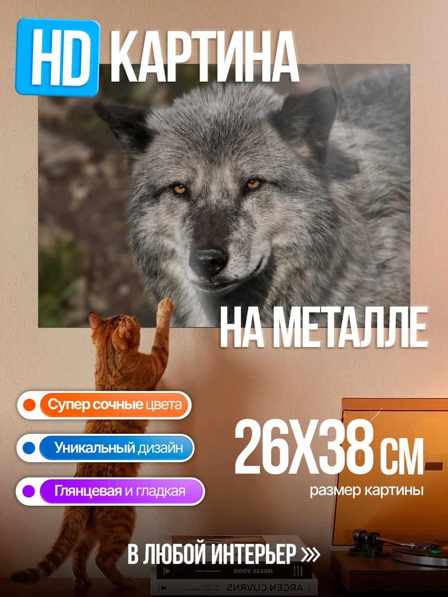 Картина на металле Портрет волка