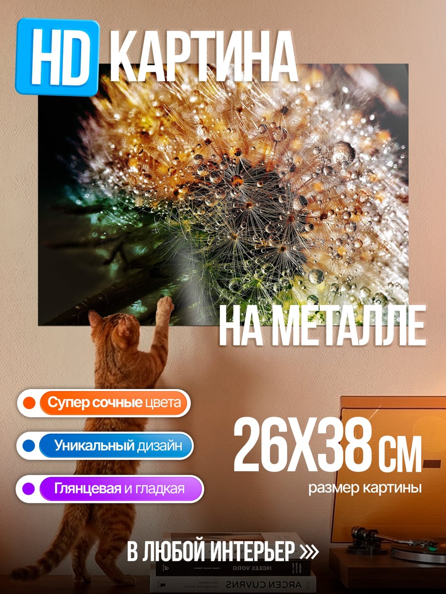 Картина на металле Одуванчик с каплями