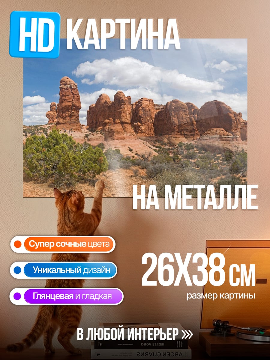 Картина на металле Красные скалы пустыни