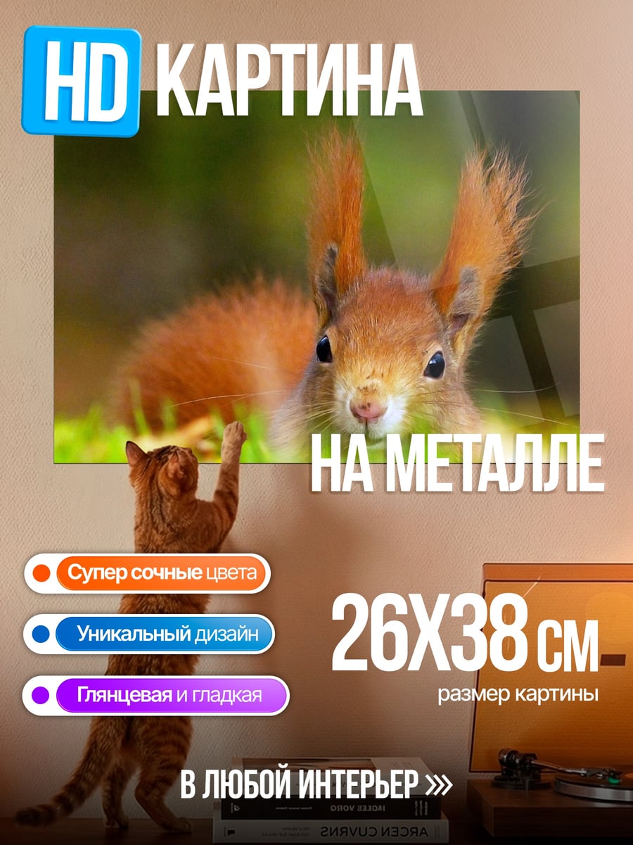 Картина на металле Рыжая белка в траве