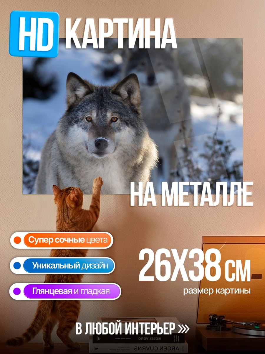 Картина на металле Два волка