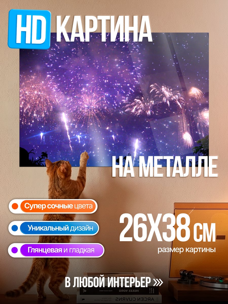 Картина на металле Ночной салют пара