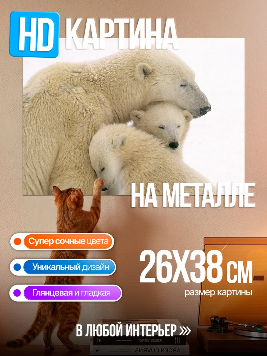 Картина на металле Белые медведи семья