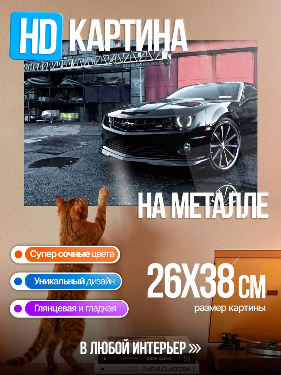 Картина на металле Черный маслкар