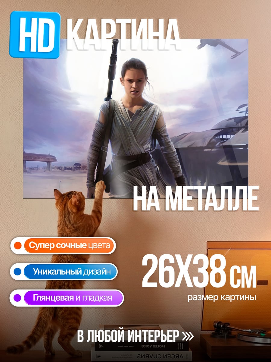 Картина на металле Рей Звездные Войны