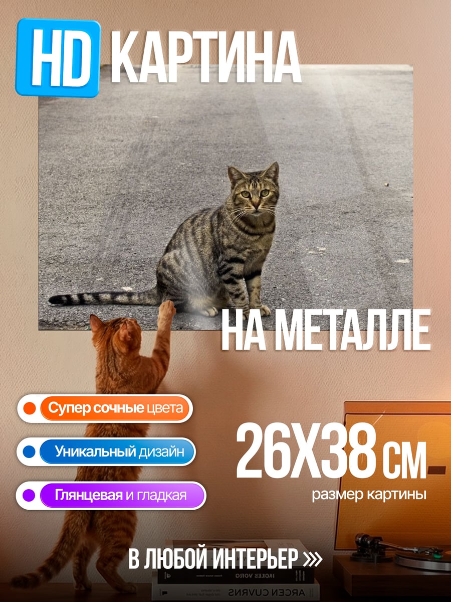 Картина на металле Кот на дороге