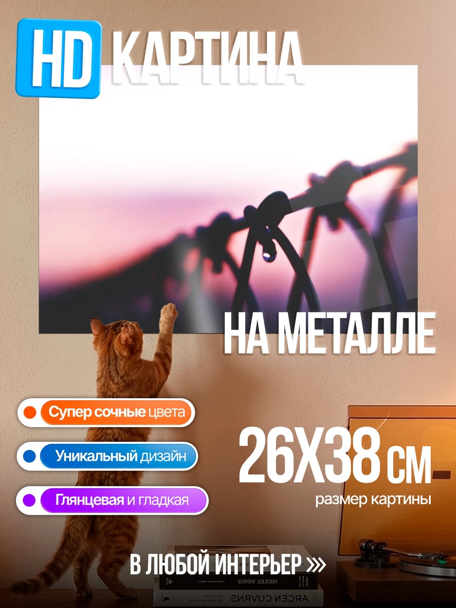 Картина на металле Колючая проволока закат