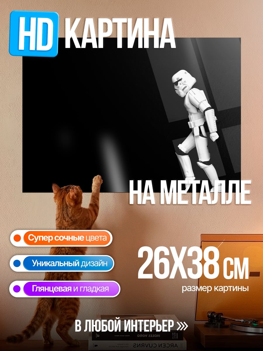 Картина на металле штурмовик империи