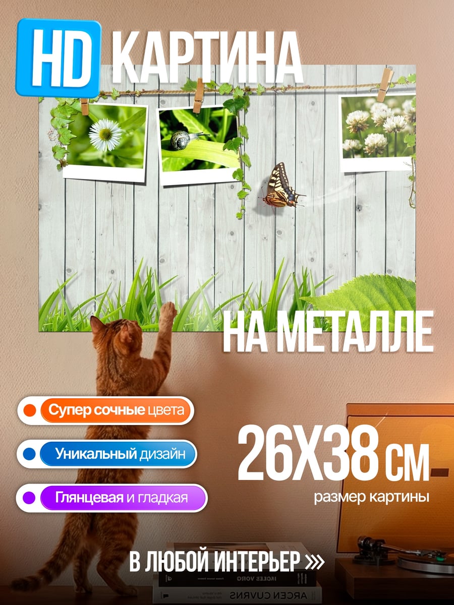 Картина на металле Фотографии на заборе