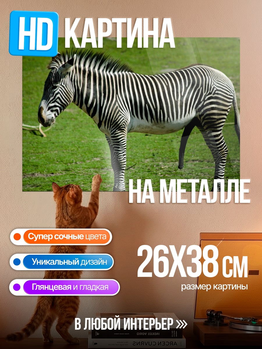 Картина на металле Полосатая зебра