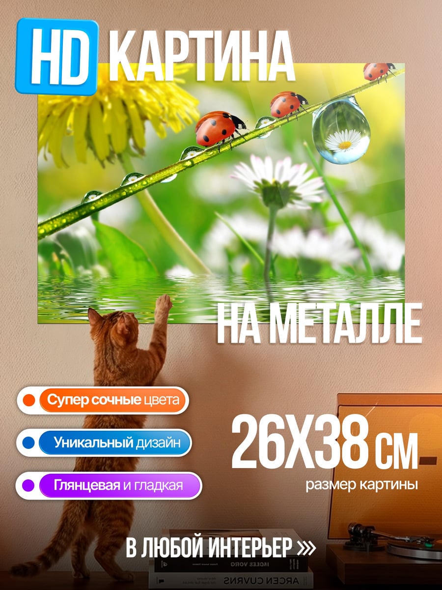 Картина на металле Божьи коровки на траве