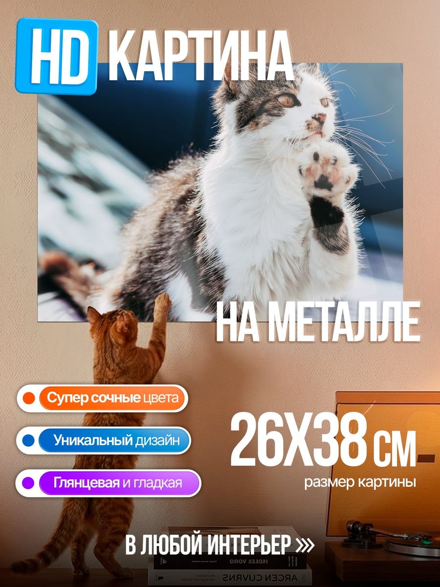 Картина на металле котенок на машине