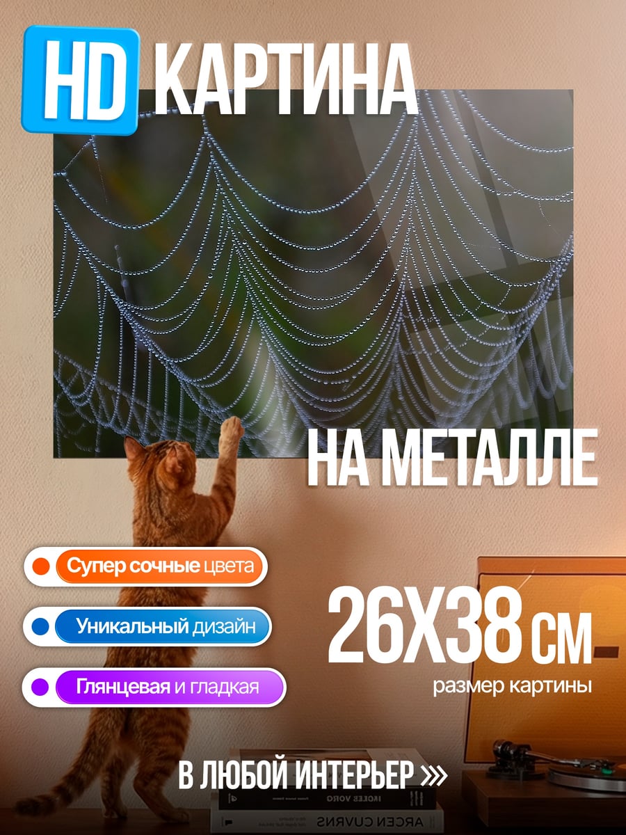 Картина на металле паутина с каплями