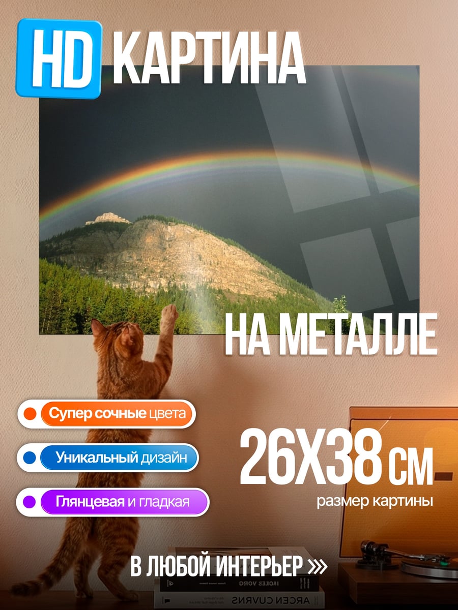 Картина на металле двойная радуга
