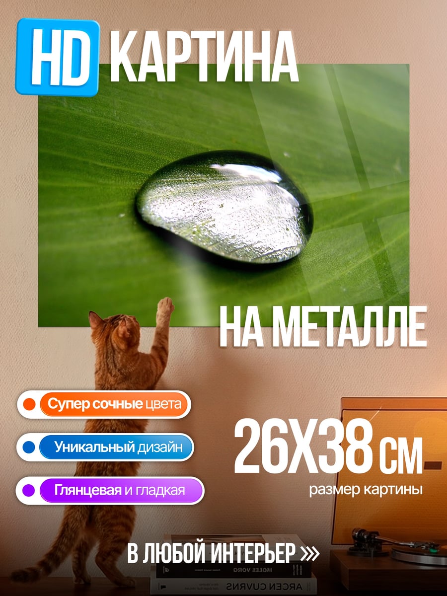 Картина на металле Капля на листе