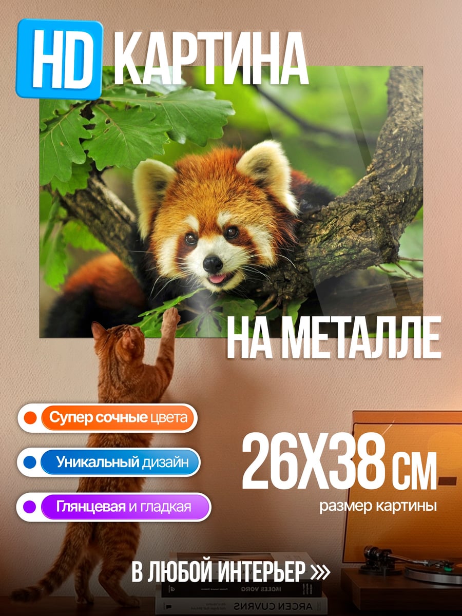Картина на металле Красная панда