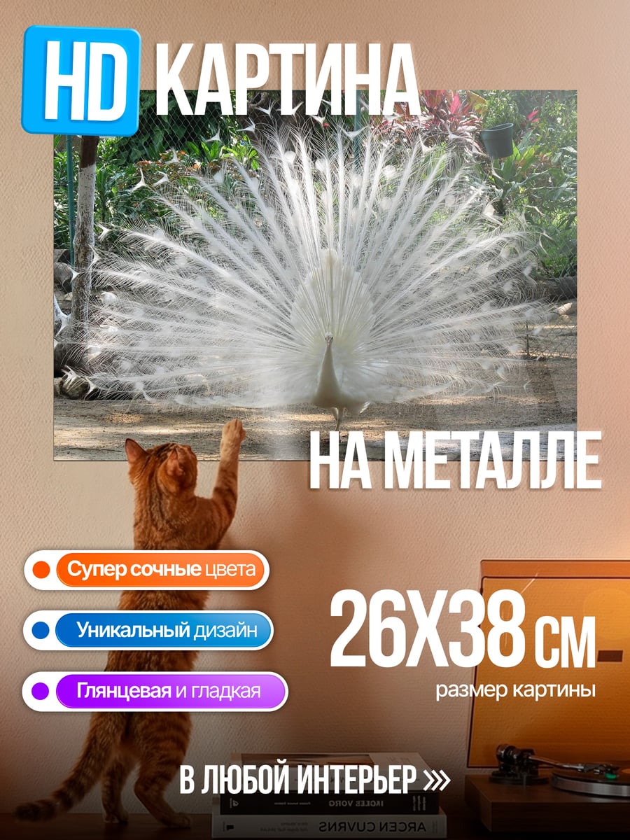 Картина на металле Белый павлин распустил хвост