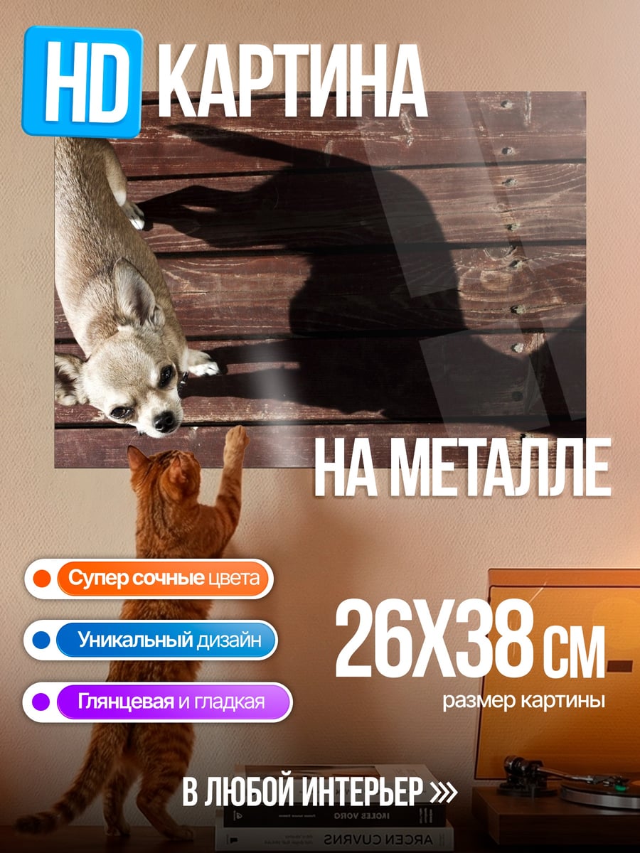 Картина на металле Чихуахуа и тень