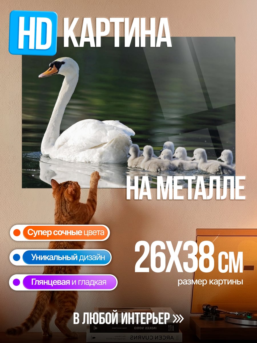 Картина на металле лебедь с лебедятами