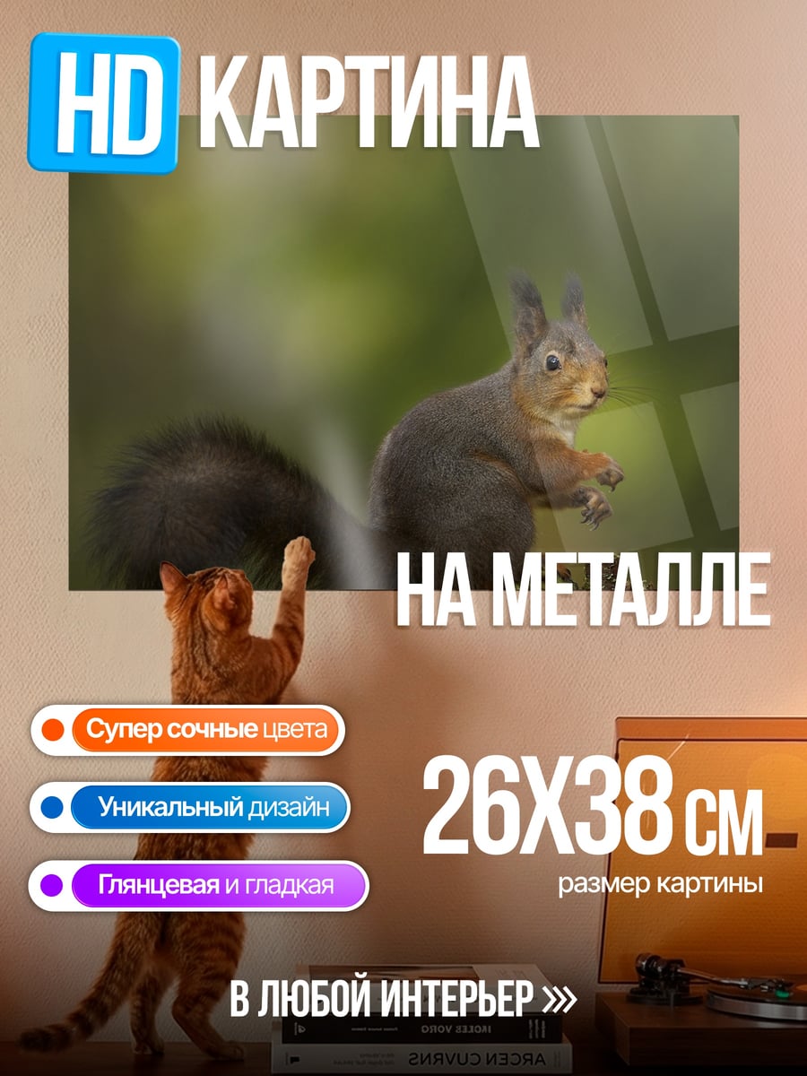 Картина на металле рыжая белка ест
