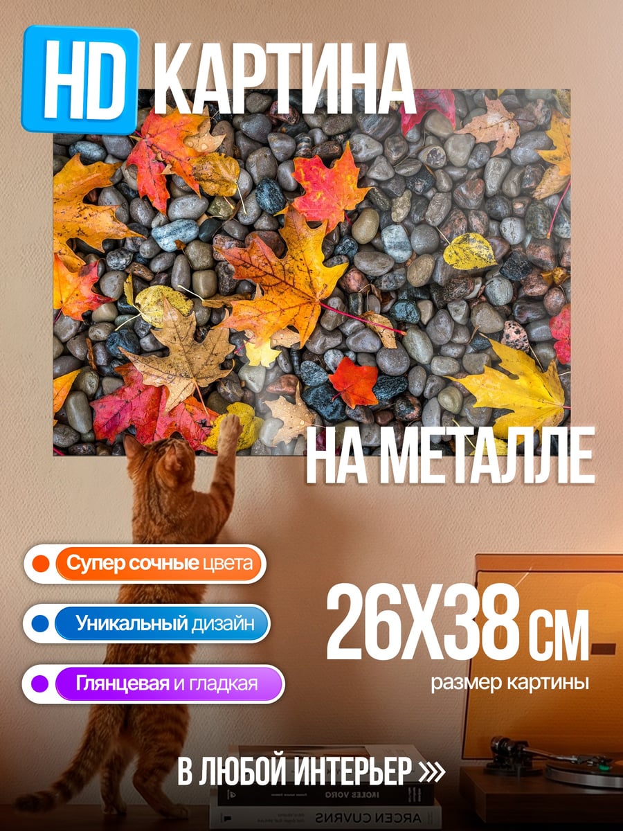 Картина на металле Осенние листья на камнях