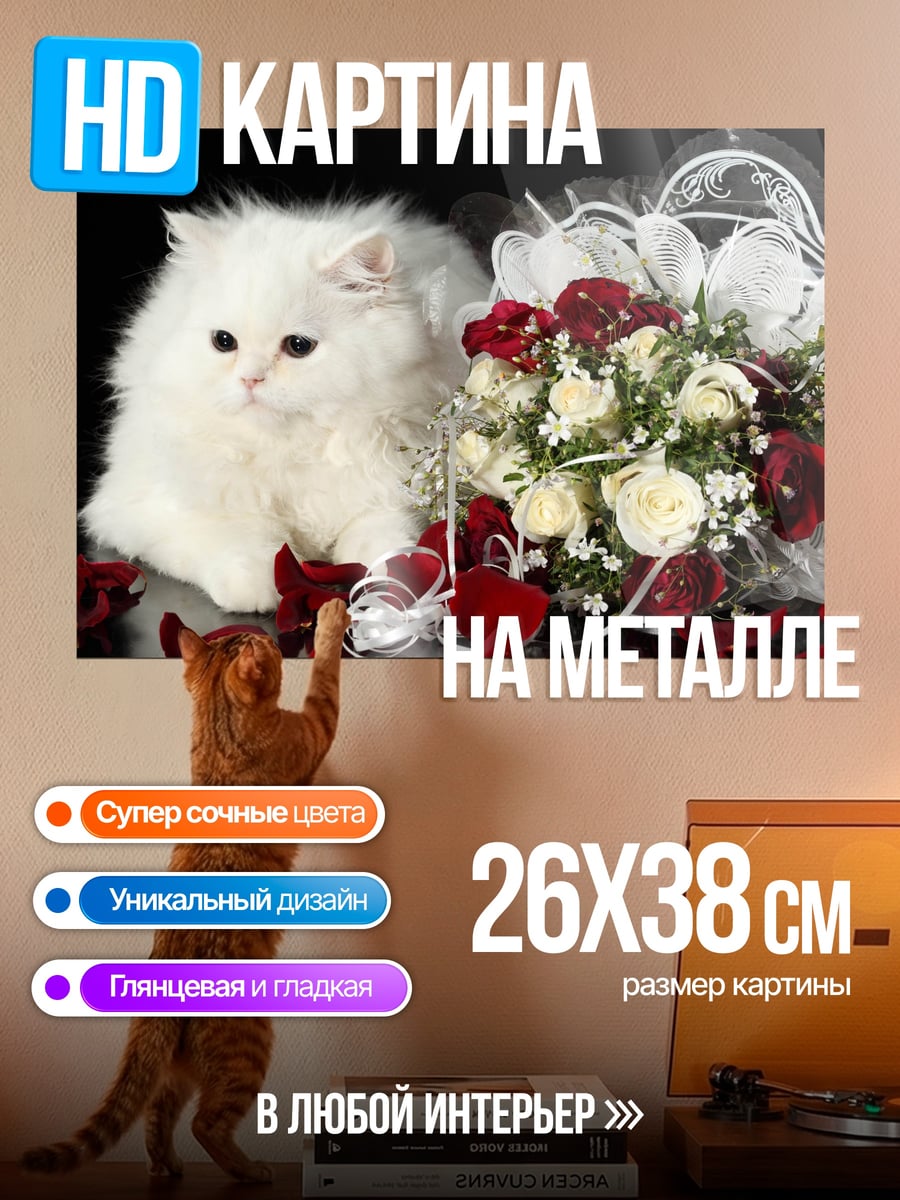 Картина на металле Белый котенок и розы