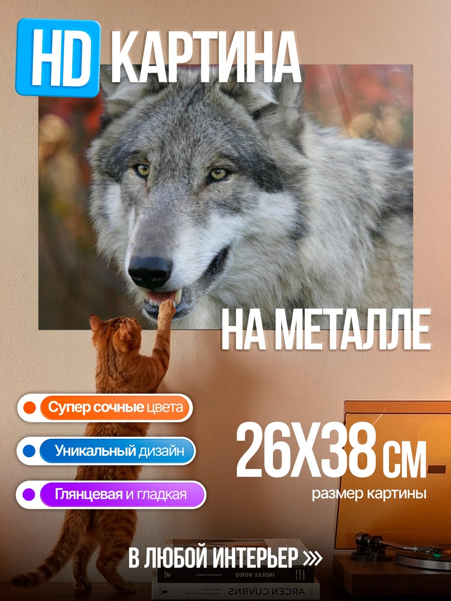 Картина на металле Портрет волка
