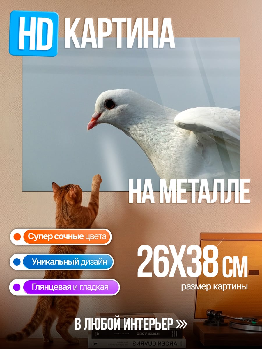 Картина на металле Белый голубь