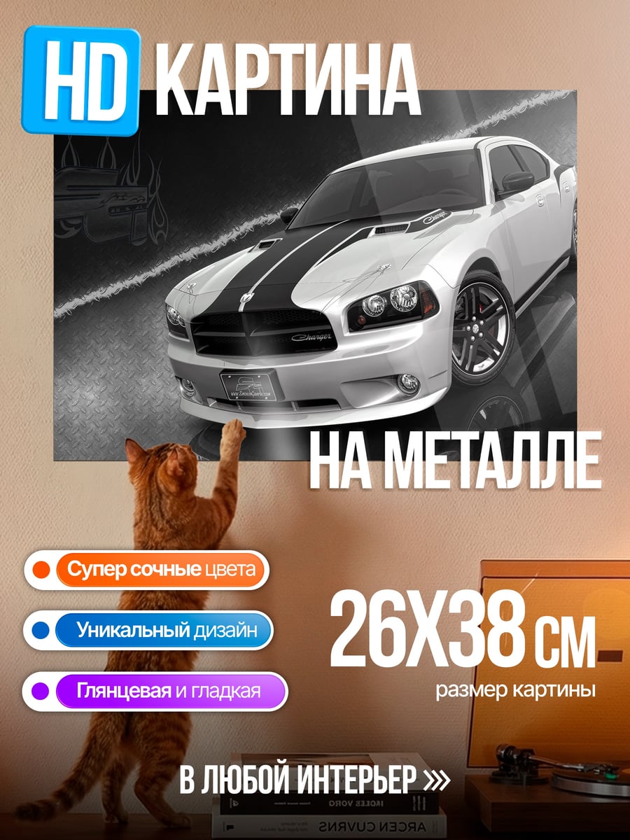 Картина на металле белый маслкар