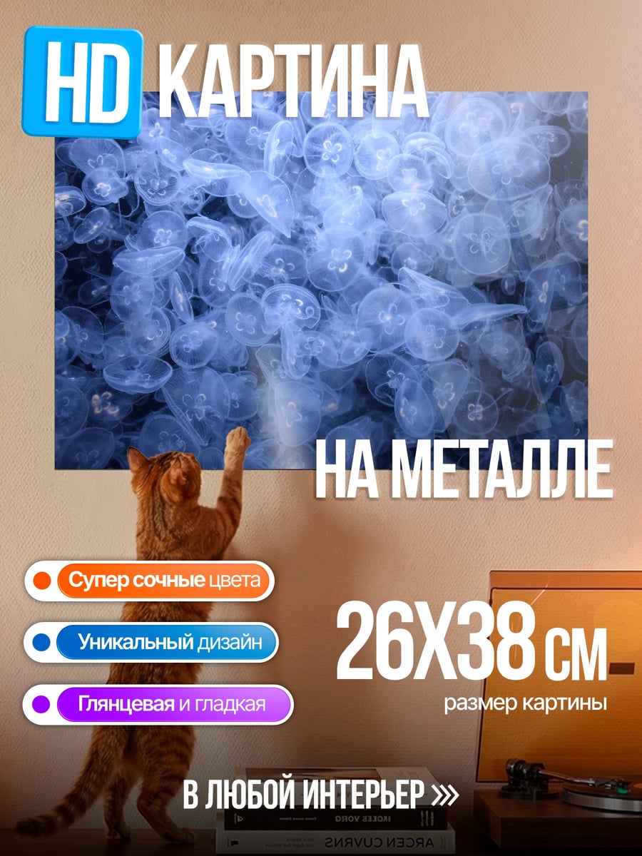 Картина на металле Стая медуз