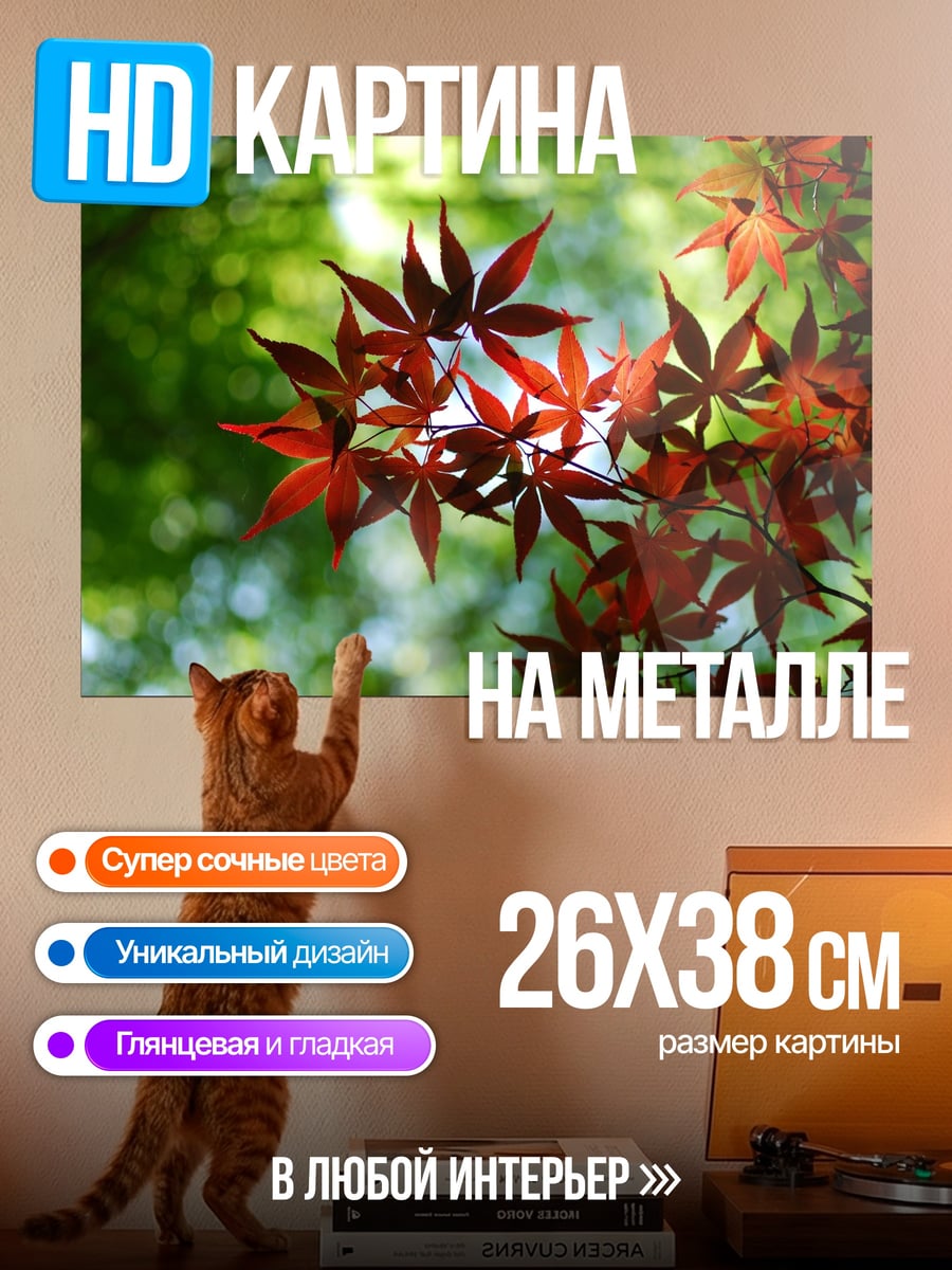 Картина на металле Красные кленовые листья
