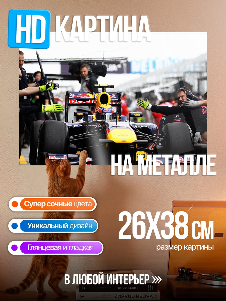 Картина на металле Гонка Формула 1