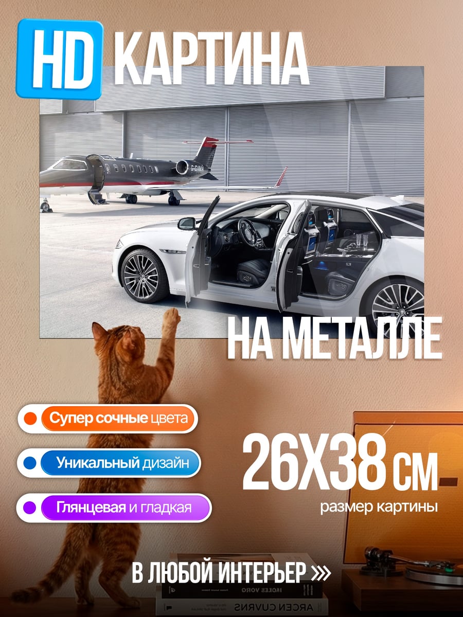 Картина на металле Бизнес джет и авто