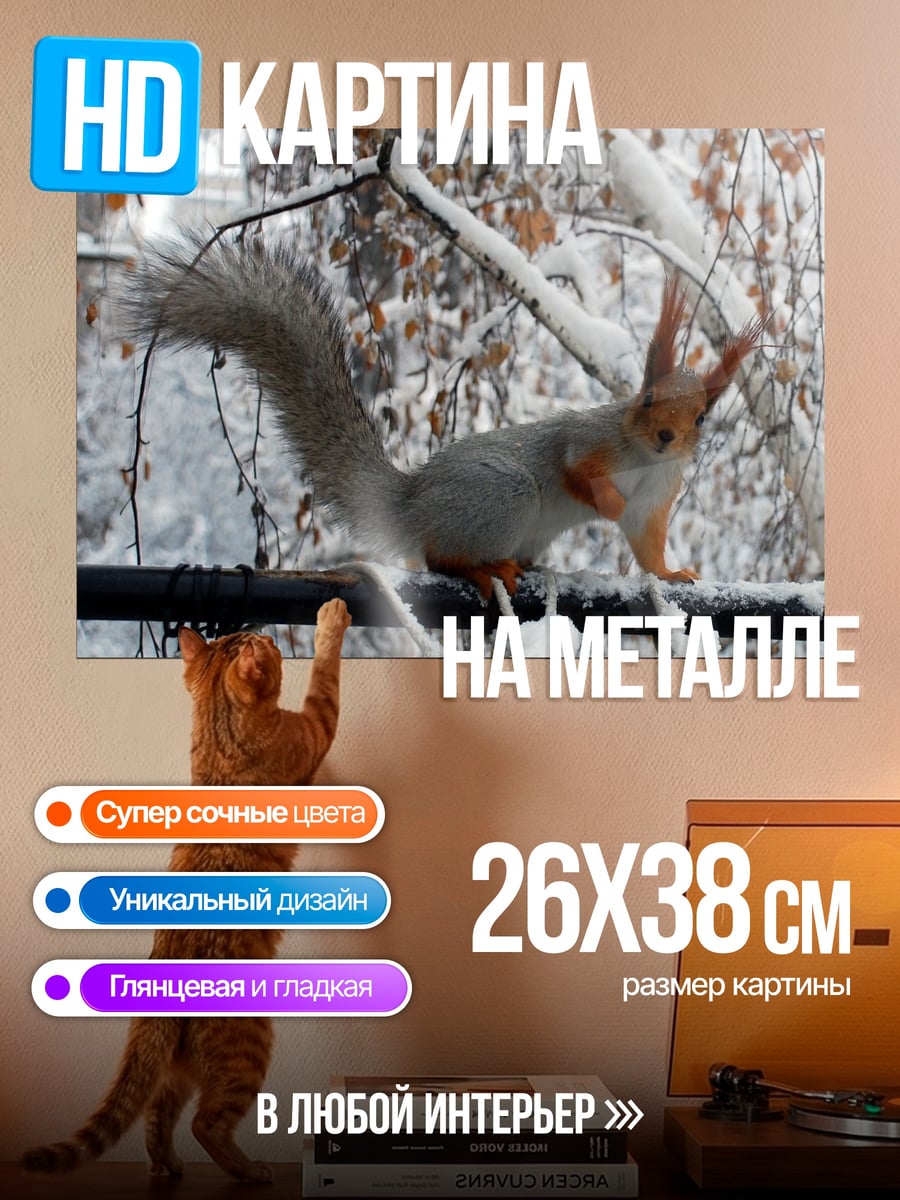 Картина на металле Белка на ветке