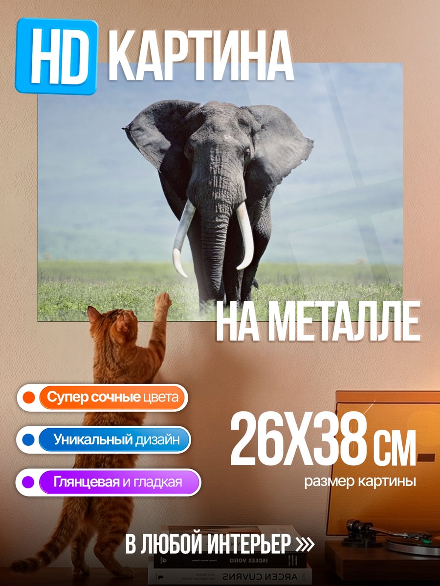 Картина на металле Слон в саванне
