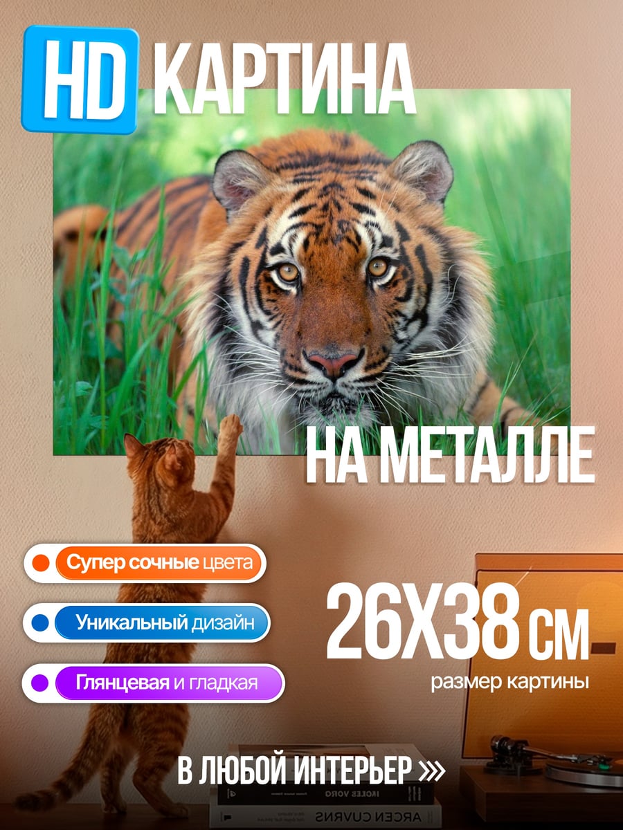 Картина на металле Тигр в траве